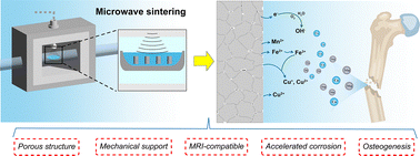 Graphical abstract: Microwave sintered multifunctional Fe–30Mn–xCu biomedical alloys: microstructure, mechanical properties, MRI compatibility, biodegradation, antibacterial activity, cytocompatibility, and osteogenic differentiation