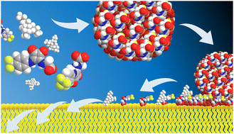 Graphical abstract: Towards the development of supramolecular self-associating amphiphiles as antibiofilm agents against Pseudomonas aeruginosa and Candida albicans biofilms