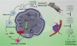 Graphical abstract: Defect engineering in cobalt-doped prussian blue to enhance sonocatalytic activities for anticancer treatment