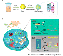Graphical abstract: Near infrared light driven nanocatalyst with hole-mediated GSH-depletion for augmented memory therapy