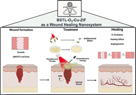 Graphical abstract: An intelligent ZIF-based nanoplatform for photothermal/chemodynamic-induced combination therapy with O2 evolution properties for improved infected wound regeneration