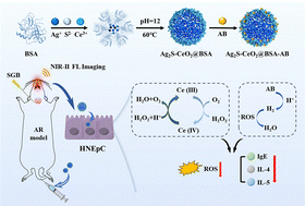 Graphical abstract: A multifunctional theranostic nanoagent for precise NIR-II FL imaging and synergistic chemodynamic/H2/SGB therapy of allergic rhinitis