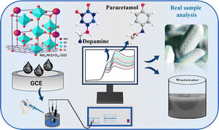 Graphical abstract: Unlocking the dual-detection potential of Nd2NiZrO6@GO electrodes for paracetamol and dopamine