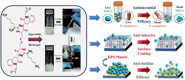 Graphical abstract: A cystine-containing cationic lipopeptide-based injectable hydrogel with antimicrobial activities against multi-drug resistant strains and anti-biofilm efficacy against methicillin-resistant Staphylococcus aureus
