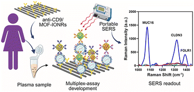 Graphical abstract: A MOF-derived iron oxide nanorod platform for multiplexed detection of ovarian cancer extracellular vesicle biomarkers