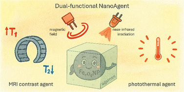 Graphical abstract: From fundamentals to applications: magnetic nanoparticles for MRI imaging and NIR-induced thermal activation in tissue-mimicking environments