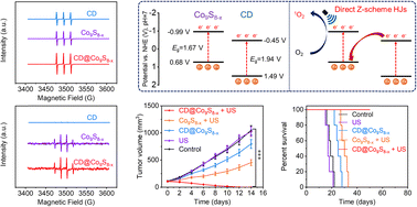Graphical abstract: Carbon dot sensitized hollow Co9S8−x for enhanced sonodynamic cancer therapy