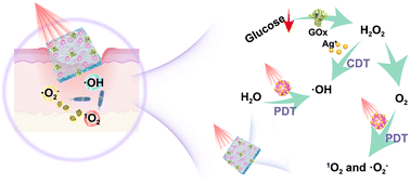Graphical abstract: Glucose microenvironment-primed nanocatalytic membranes for rapid bacterial eradication and infected diabetic wound regeneration