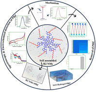 Graphical abstract: A target responsive benzimidazole-based self-assembled micellar system embedded smart hydrogel: an integrated approach for quantification and removal of phenylbutazone