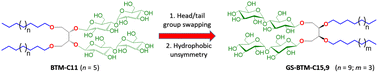 Graphical abstract: Tailoring butane-1,2,3,4-tetraol-based maltosides (BTMs) via group-swapping and detergent unsymmetry: new detergent design strategies for membrane protein studies