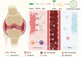 Graphical abstract: Treating rheumatoid arthritis using fibroblast-activated protein-α-responsive micelles through a cascade control program