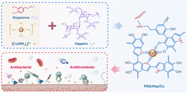 Graphical abstract: Transformative metal–ligand nanocoating for dual antibacterial and antithrombotic functionality in hemodialysis catheters