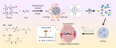 Graphical abstract: Bone-targeted carbon dots nanogels achieve precision antioxidant therapy for rheumatoid arthritis by activating the endogenous antioxidant system