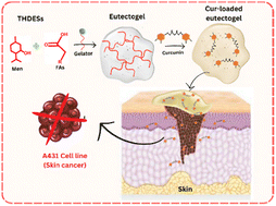 Graphical abstract: Supramolecular eutectogel based on THDESs as a skin penetrating carrier for effective transdermal delivery of hydrophobic drug curcumin