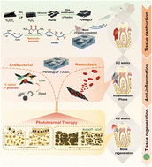 Graphical abstract: A photothermal therapy-based composite hydrogel for sequential management of inflammation control and bone regeneration in severe periodontitis