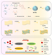 Graphical abstract: A ROS-responsive drug-conjugated heparin biomimetic nanogel for enhancing anticoagulant, antibacterial, and anti-calcification properties of bioprosthetic heart valves