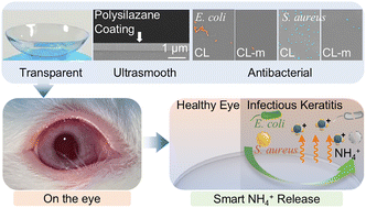Graphical abstract: Smart invisible shield: colorless, durable and self-defending contact lens nanocoating combats keratitis on demand