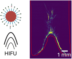 Graphical abstract: Focused ultrasound propulsion of acoustically active nanoparticles into gelatin hydrogels