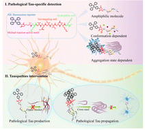 Graphical abstract: An aggregation-induced emission-active theranostic agent for selectively detecting and intervening pathological Tau protein