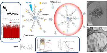 Graphical abstract: Emissive and photothermal poly(N-isopropylacrylamide)-immobilized carbon-nanodots with thermoresponsive drug release properties