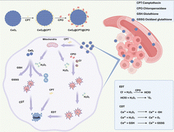 Graphical abstract: A nanoplatform with H2O2 self-supplying capability for synergistic chemo/enzyme dynamic/chemodynamic therapy of ovarian cancer