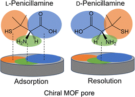 Graphical abstract: Tuning enantioselective drug adsorption in isoreticular homochiral metal–peptide frameworks through proximity pore interactions