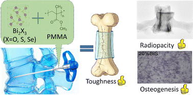 Graphical abstract: Bismuth chalcogenides: multifunctional enhancement of radiopacity, mechanical resilience, and osteogenesis in PMMA bone cements for vertebroplasty