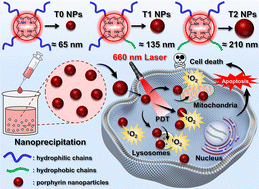 Graphical abstract: Carrier-free water-soluble porphyrin nanoparticles as highly effective photosensitizers for photodynamic therapy