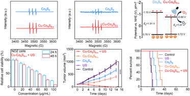 Graphical abstract: Cu-doped Co9S8−x sonozymes for enhanced sonodynamic and chemodynamic therapy of gallbladder cancer through ion doping and vacancy engineering