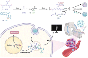 Graphical abstract: Metal-ion-driven self-assembly of sequence-controlled polyprodrugs for pH-responsive tumor theranostics