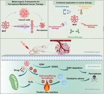 Graphical abstract: Integrated design and application of metal–organic frameworks in ferroptosis-mediated cancer therapy