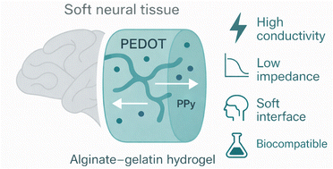 Graphical abstract: Electroconductive and highly biocompatible PEDOT- and polypyrrole-alginate–gelatin hydrogels with enhanced electrochemical performance for biointerfaces