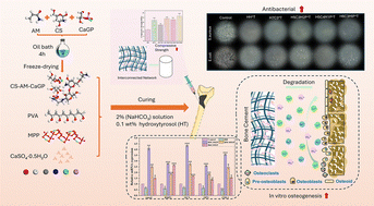 Graphical abstract: Synergistically assembled inorganic–organic multifunctional injectable bone cement with enhanced mechanical properties and osteogenesis