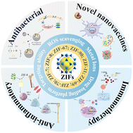 Graphical abstract: Advances and challenges of ZIF-based nanocomposites in immunotherapy and anti-inflammatory therapy