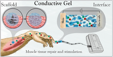 Graphical abstract: Conductive soft gels for skeletal muscle electrostimulation and repair: an overview