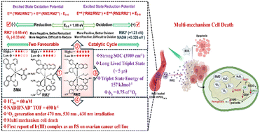 Graphical abstract: Shedding light on photo-redox catalysis of a NIR iridium(iii) complex for high photocytotoxicity against cisplatin resistant ovarian cancer in 3D tumor spheroids