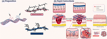 Graphical abstract: Hyaluronic acid-based fabric with blood induced network densification and tissue adhesion for bleeding control