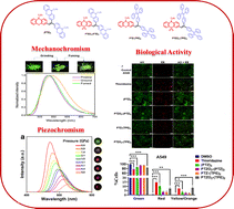 Graphical abstract: Stimuli-responsive phenothiazine–tetraphenylethylene hybrid luminogens: mechano- and piezochromic properties with anticancer applications