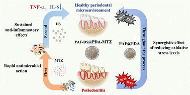 Graphical abstract: Porous aromatic framework-based sequential therapeutic strategy for the treatment of periodontitis