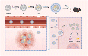 Graphical abstract: Preliminary study on targeted nanoparticles co-loaded with piperine and paclitaxel prodrug for ovarian cancer treatment