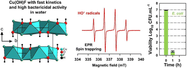 Graphical abstract: Bactericidal activity of the layered cupric hydroxy-fluoride Cu(OH)F against pathogenic Escherichia coli strain