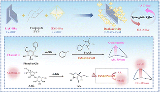 Graphical abstract: Hierarchical MOF-on-MOF-structured dual-functional nanozyme for enhanced catalysis and the dual-channel detection of α-glucosidase