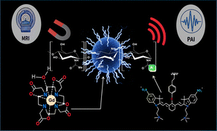 Graphical abstract: Multifunctional stealth chitosan nanogels with improved relaxivity and photoacoustic contrast for dual MRI–MSOT imaging