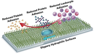 Graphical abstract: Influence of liquid repellency and slipperiness on blood-material interactions