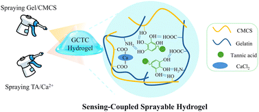 Graphical abstract: Sensing-coupled sprayable hydrogel dressings enable rapid wound inflammation indication and antibacterial therapy