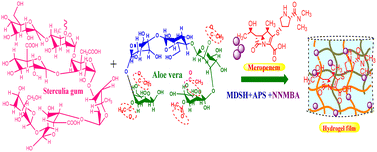 Graphical abstract: Aloe vera and Sterculia gum-based hydrogel for use in drug delivery and dressing applications to improve wound healing