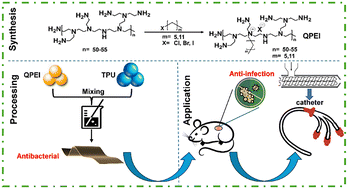 Graphical abstract: Polymeric quaternary ammonium enabled contact-active, bulk-stable and biocompatible antibacterial catheters without leaching-dependent antimicrobial additives
