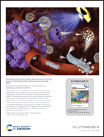 Graphical abstract: Back cover