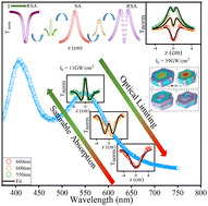 Graphical abstract: Intensity-driven resurgence of reverse saturable absorption and vibrational modes in hexagonal silver nanoplates