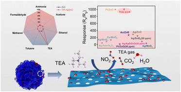 Graphical abstract: Highly sensitive and selective triethylamine sensor enabled by Ag/ZnO heterojunctions